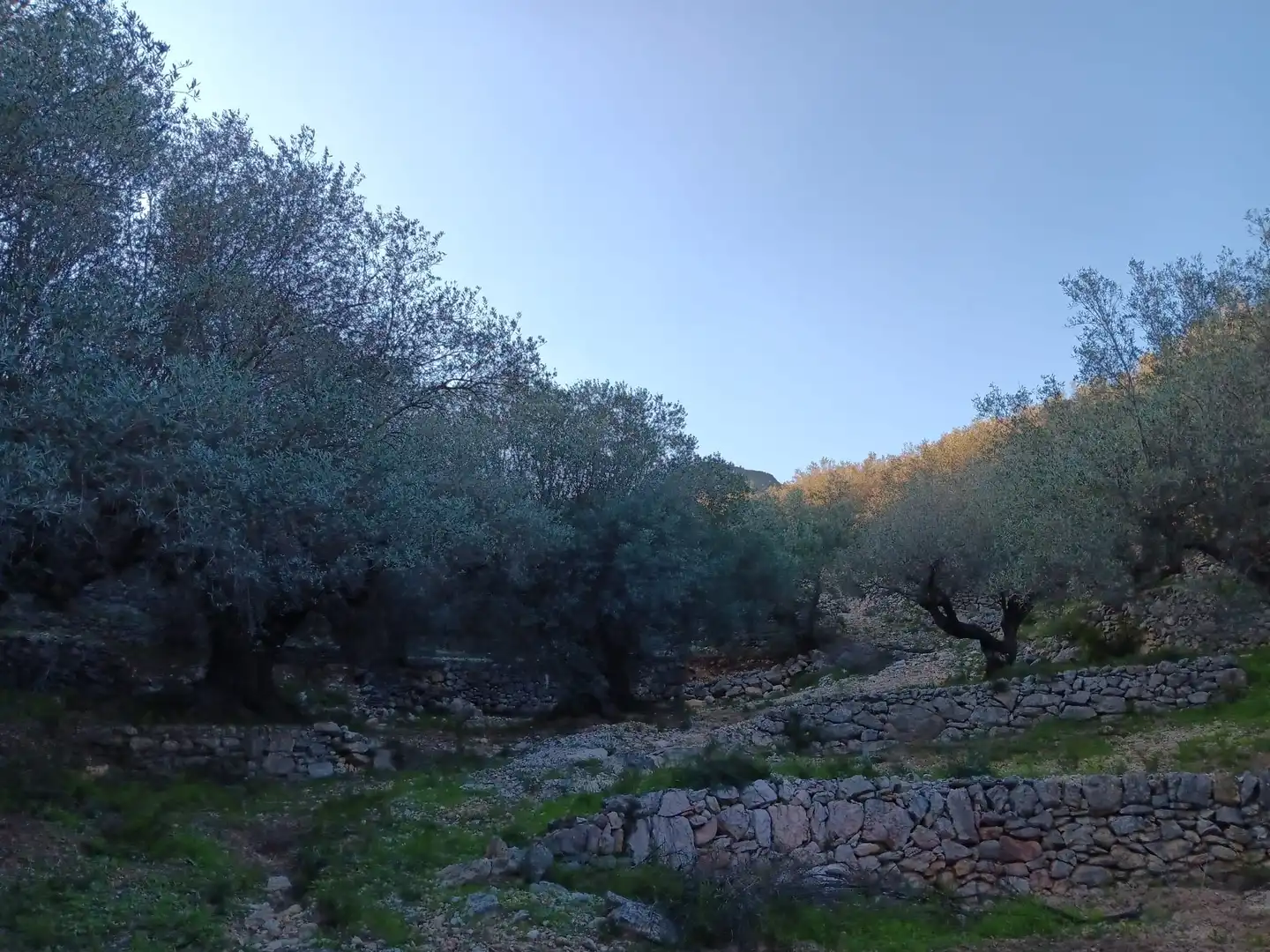 Terrenys i solars en venda a Ferreries, imagen 23