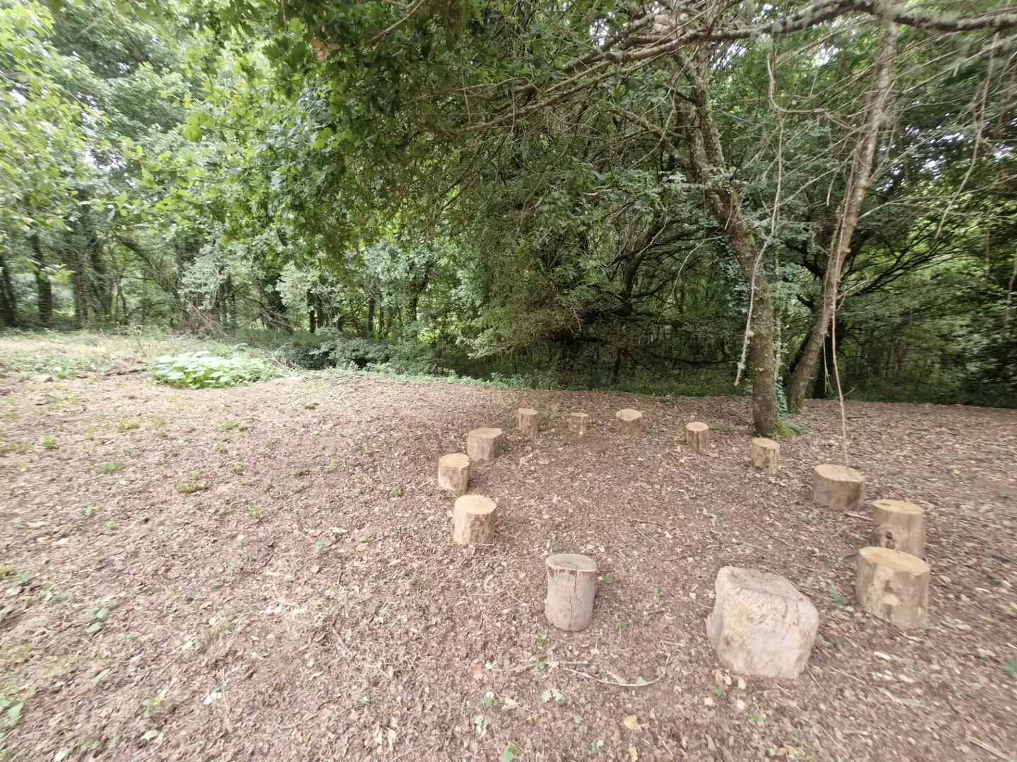 Jardí de Casa o xalet en venda en Gomesende amb Jardí privat, Terrassa i Balcó
