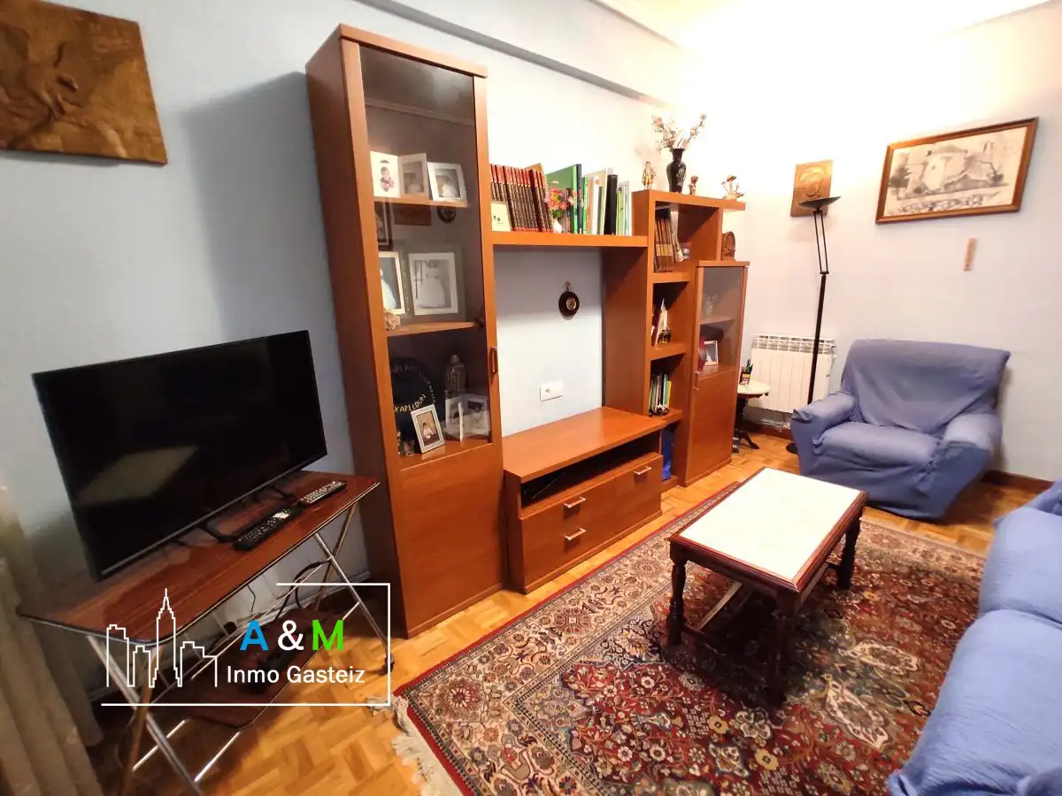 Sala d'estar de Pis de lloguer en Vitoria - Gasteiz amb Calefacció, Parquet i Terrassa
