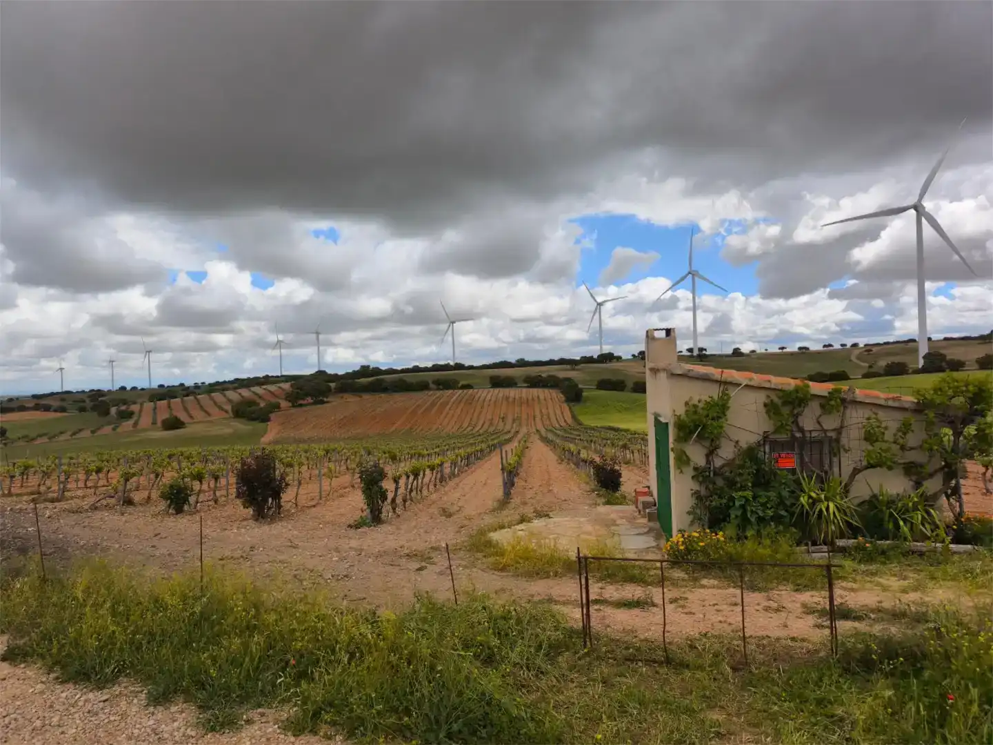 Land for sale in Munera