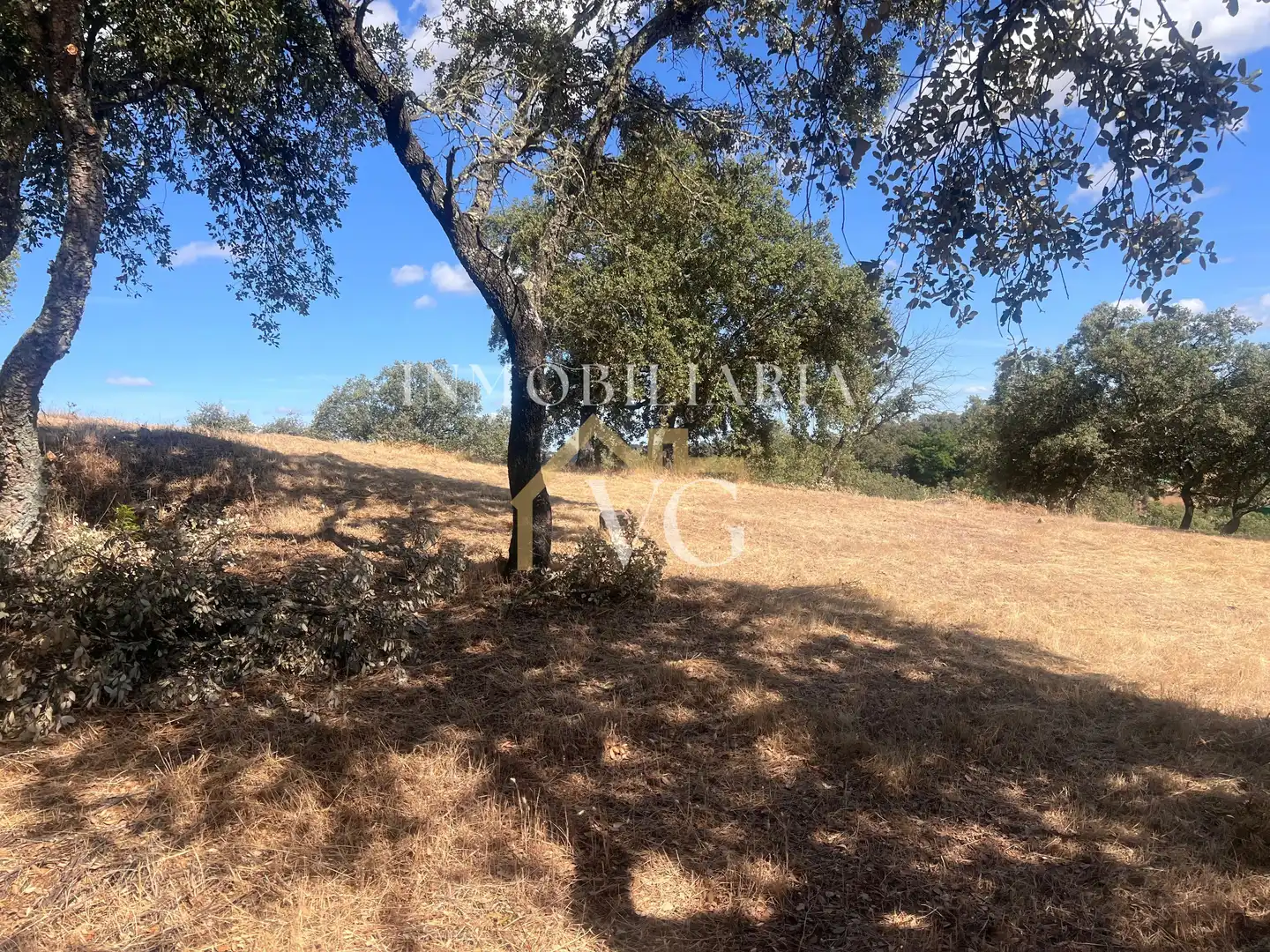 Residential land for sale in Los Lagos