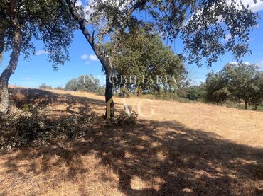 Terreno residencial en venta en Los Lagos