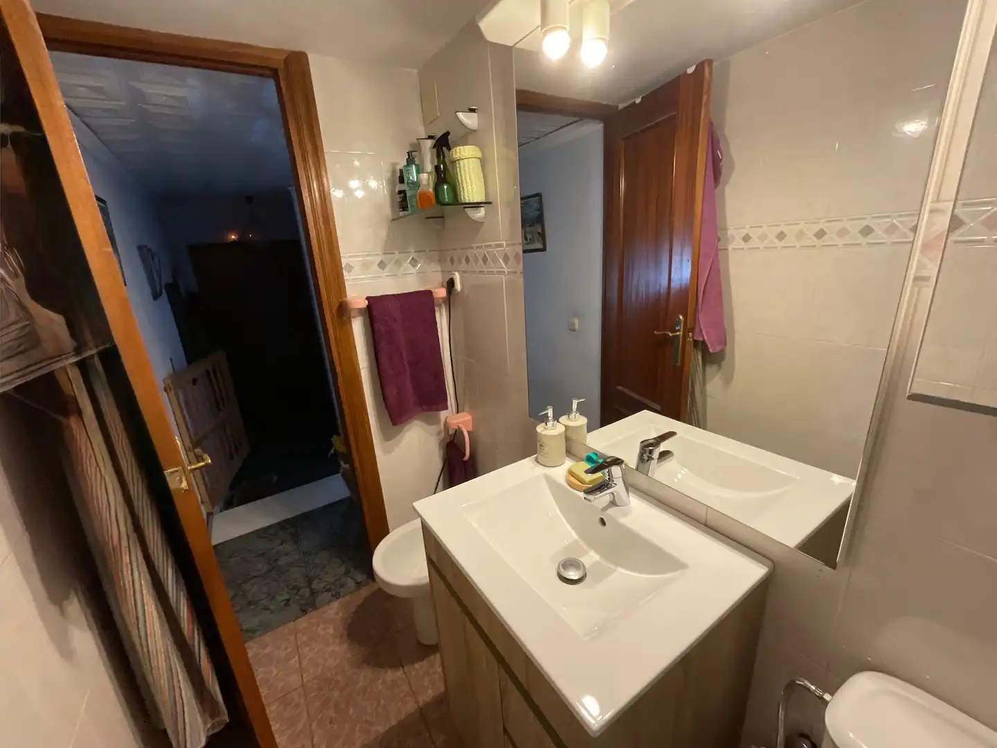 Baño de Casa o chalet en venta en Antequera con Trastero