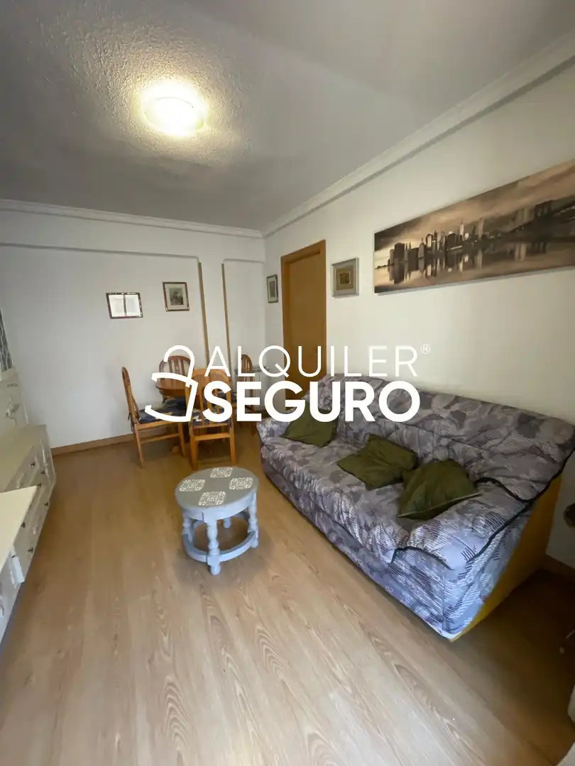 Sala d'estar de Pis de lloguer en Madrid amb Calefacció, Terrassa i Moblat