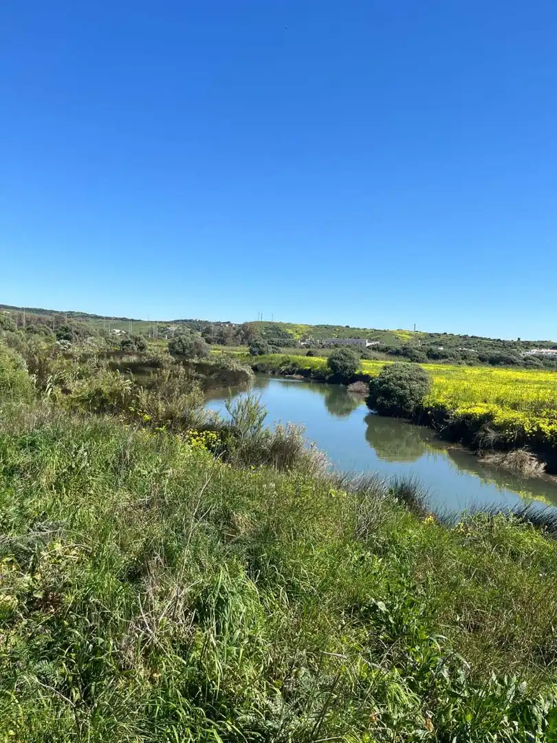 Terreno rustico in vendita a Tarifa ciudad, imagen 5