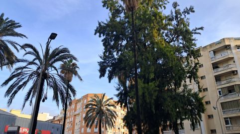 Foto 3 de Piso en venta en Plaça Alqueria de Les Flors, 1, Park Nord - Casona, Gandia