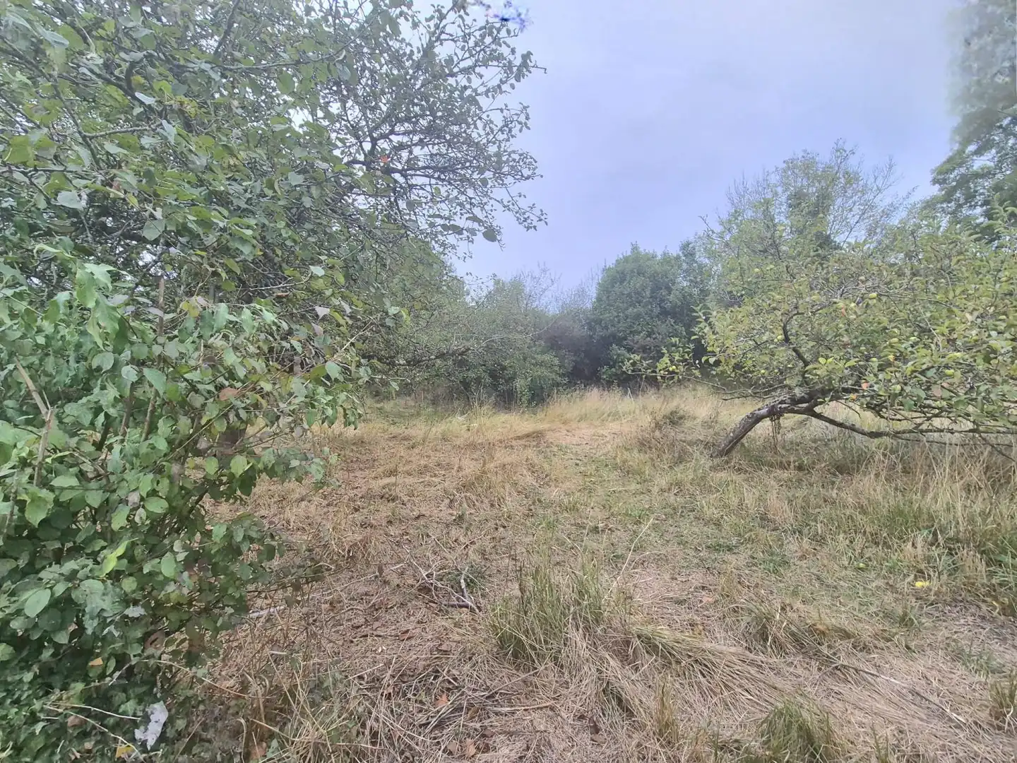 Residential land for sale in Grado, imagen 4