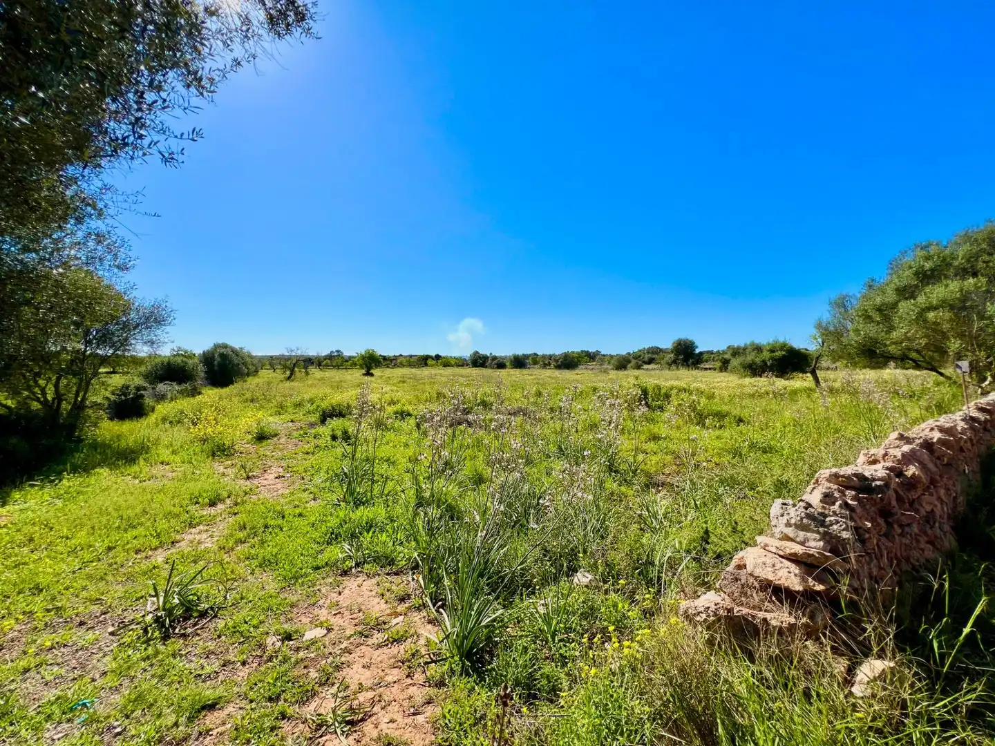 Residencial en venta en Santanyí