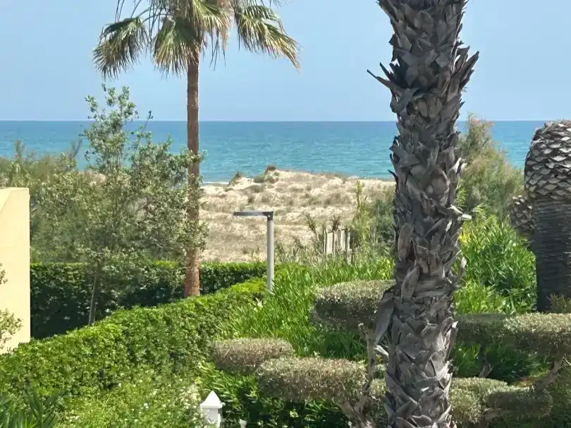Vista exterior de Casa o xalet de lloguer en Oliva amb Aire condicionat i Piscina