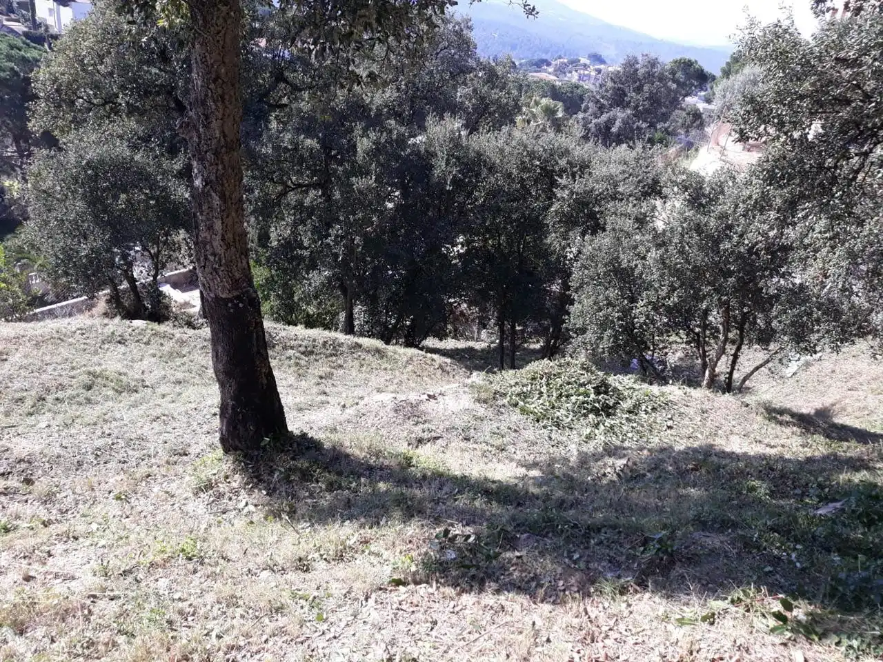 Grundstücke und Bauplätze zum Verkauf in Carrer Pollancre 82, imagen 10