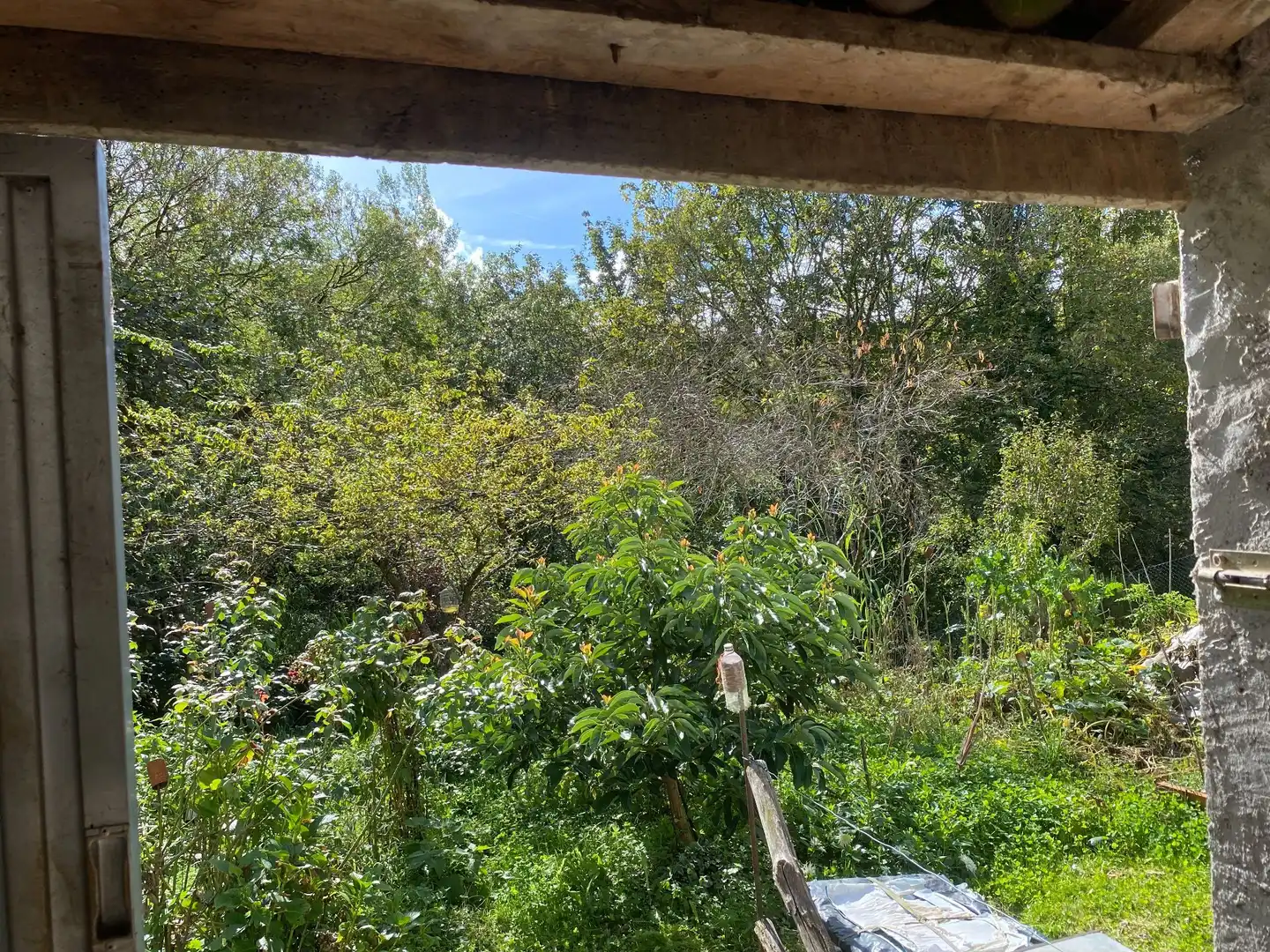 Houses for sale in Llenín, Cangas de Onís