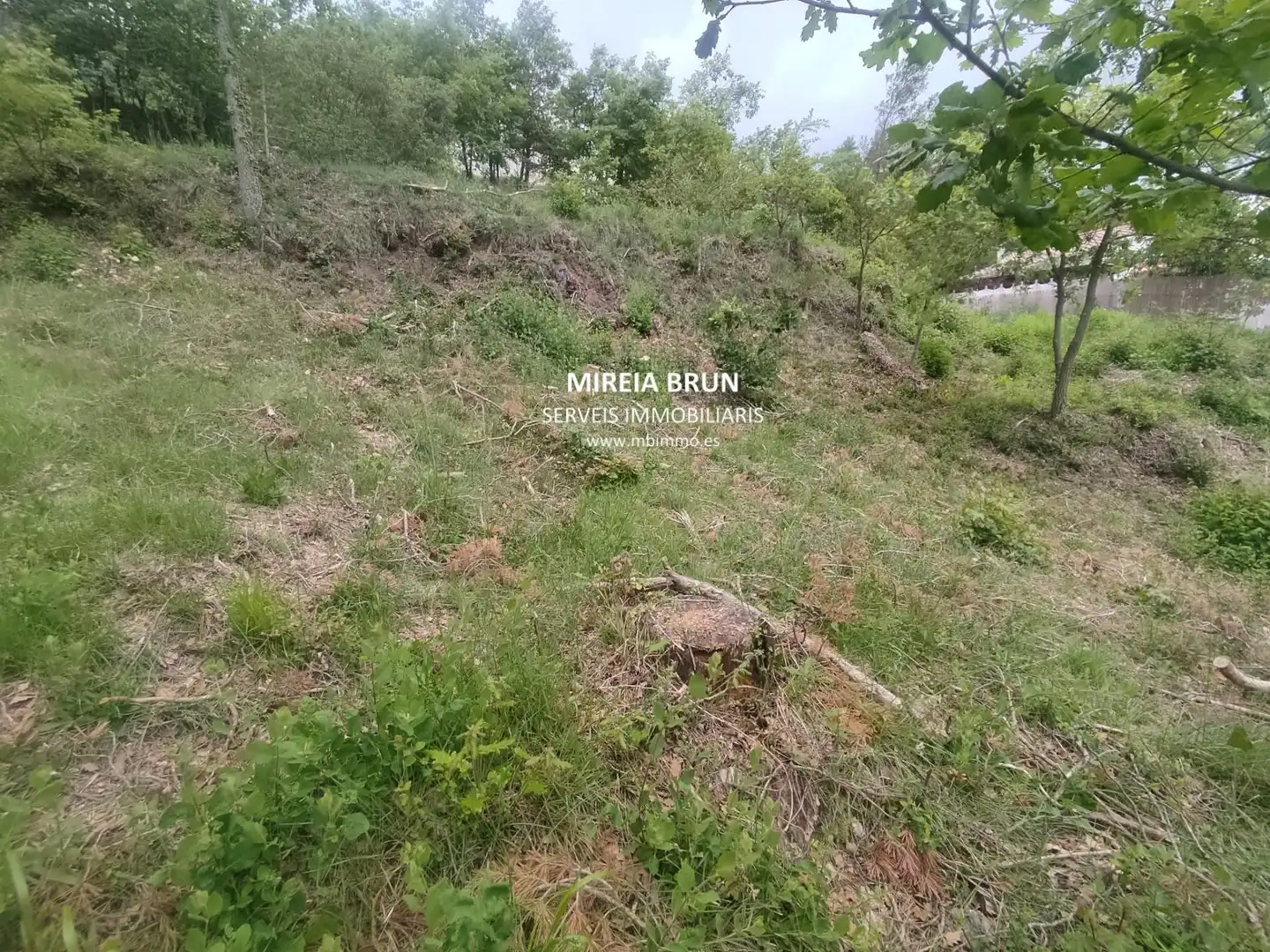 Residencial en venda en Muntanyola
