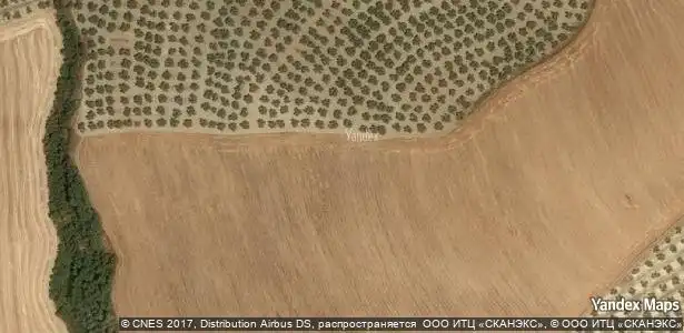 Finca rústica en venda en Torreperogil