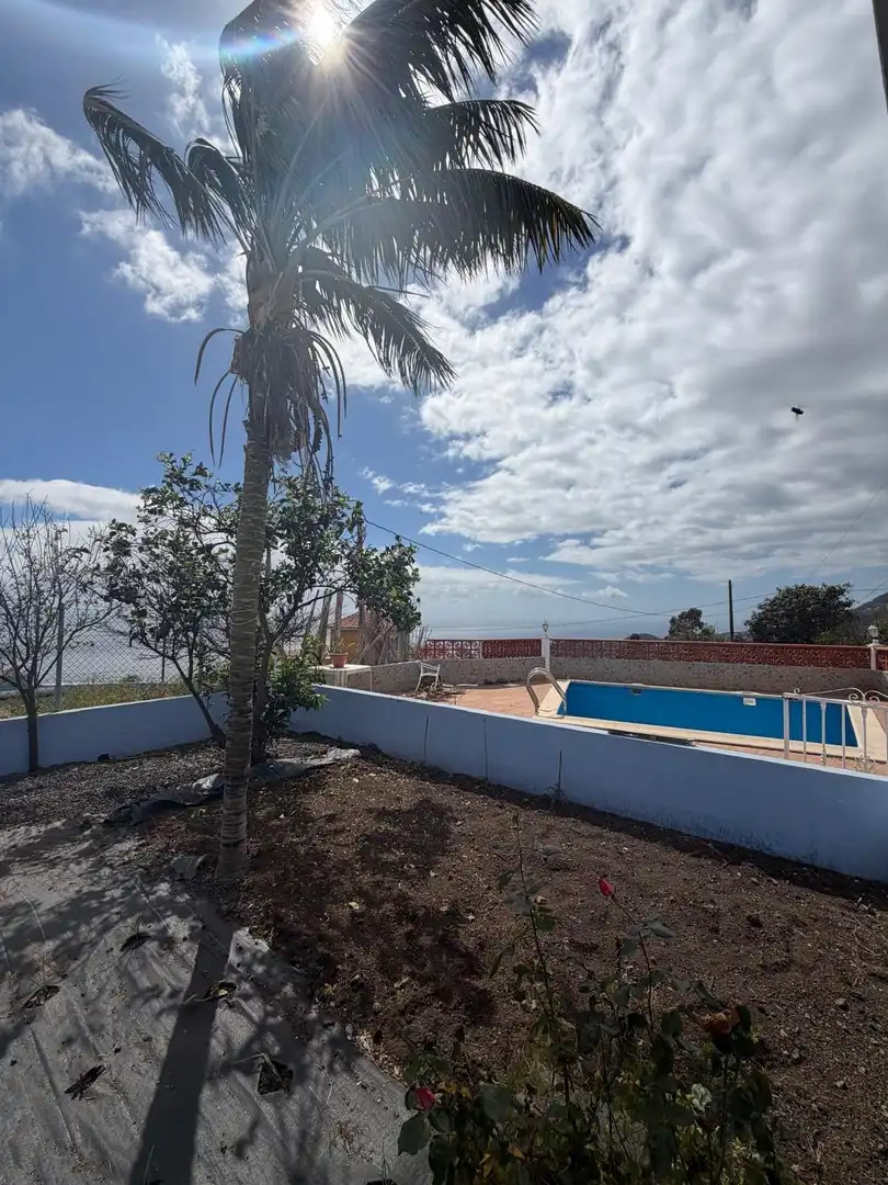 Piscina de Casa o chalet en venta en Villa de Mazo con Jardín privado, Terraza y Piscina