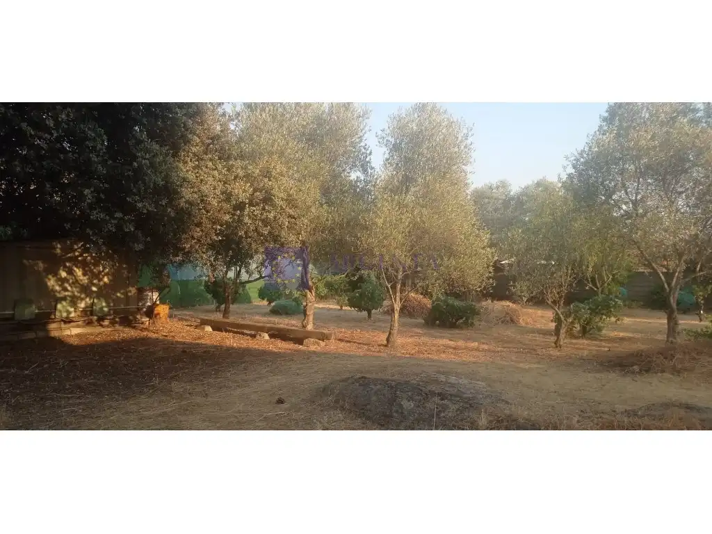Finca rústica en venta en Malpartida de Cáceres