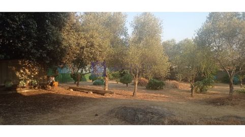 Foto 4 de Finca rústica en venta en Malpartida de Cáceres, Cáceres