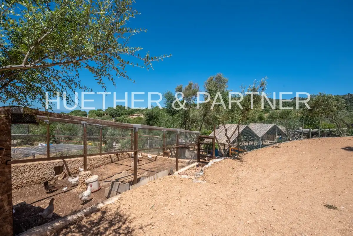 Garden of Country homes for sale in Manacor  with Heating and Furnished