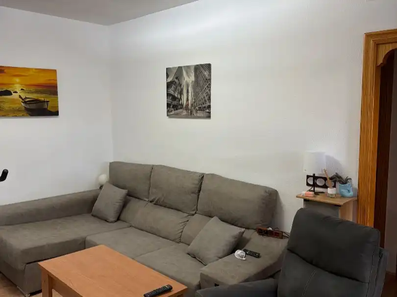 Sala d'estar de Casa o xalet en venda en El Ejido amb Aire condicionat, Jardí privat i Terrassa