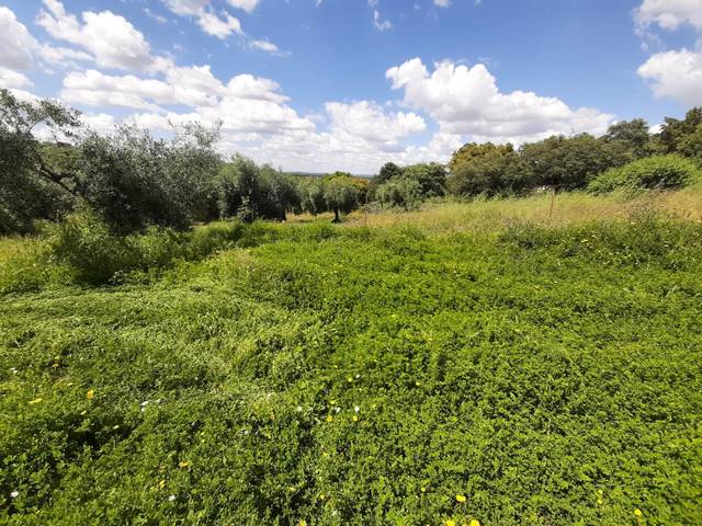 Terreno en Venta en Zarza de Montánchez