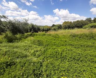Land for sale in Zarza de Montánchez