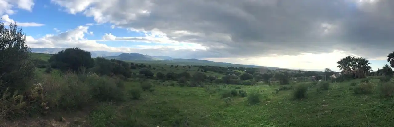 Terreny rústic en venda a Calle Dehesa de la Peña 18, imagen 3