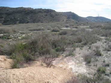Rural land for sale in Aspe Centro