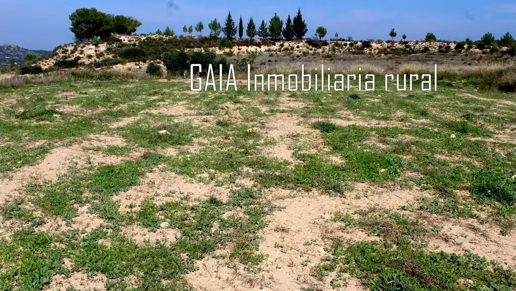 Finca rústica en venda en Batea