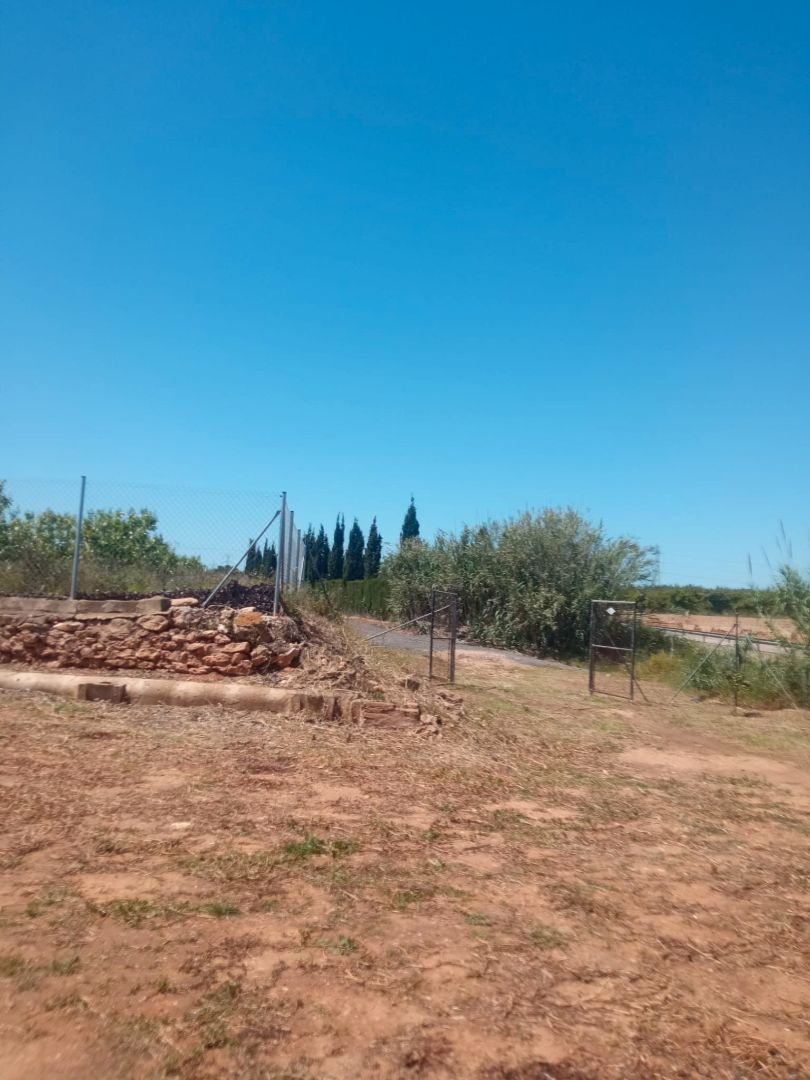 Land for sale in Alcàsser