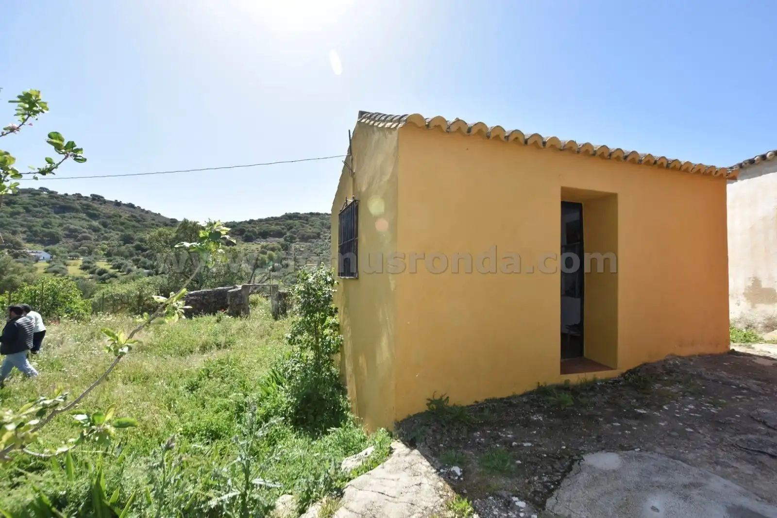 Vista exterior de Finca rústica en venda en Ronda