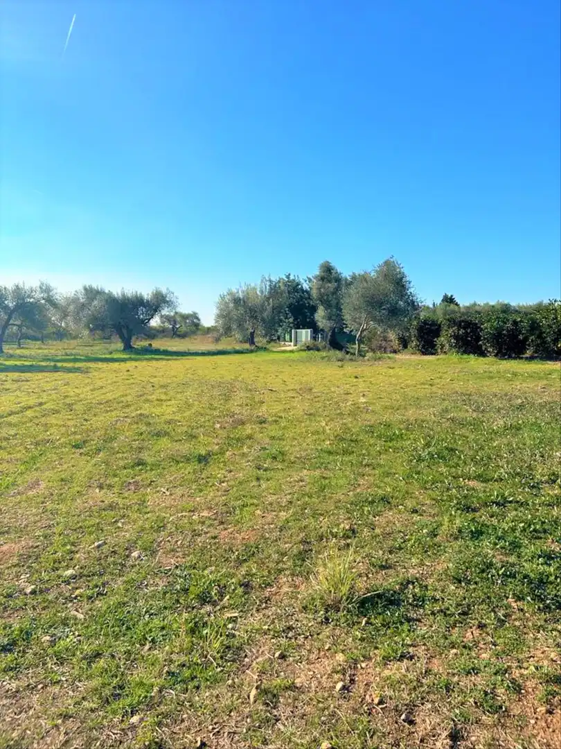 En venta finca rústica en Vinaròs, imatge 4