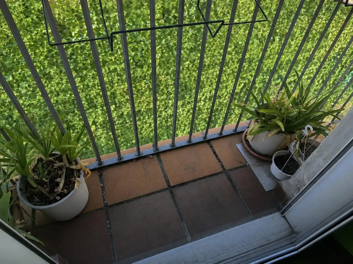 Balcony of Houses for sale in Sallent  with Terrace, Storage room and Balcony