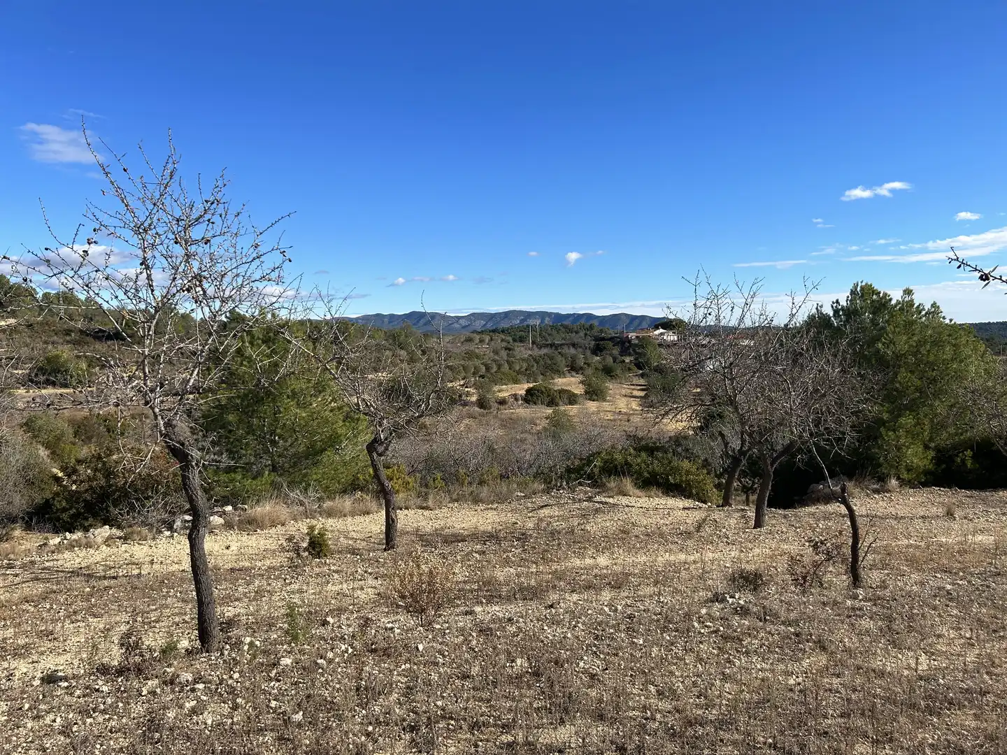 Rural land for sale in Les Coves de Vinromà, imagen 4