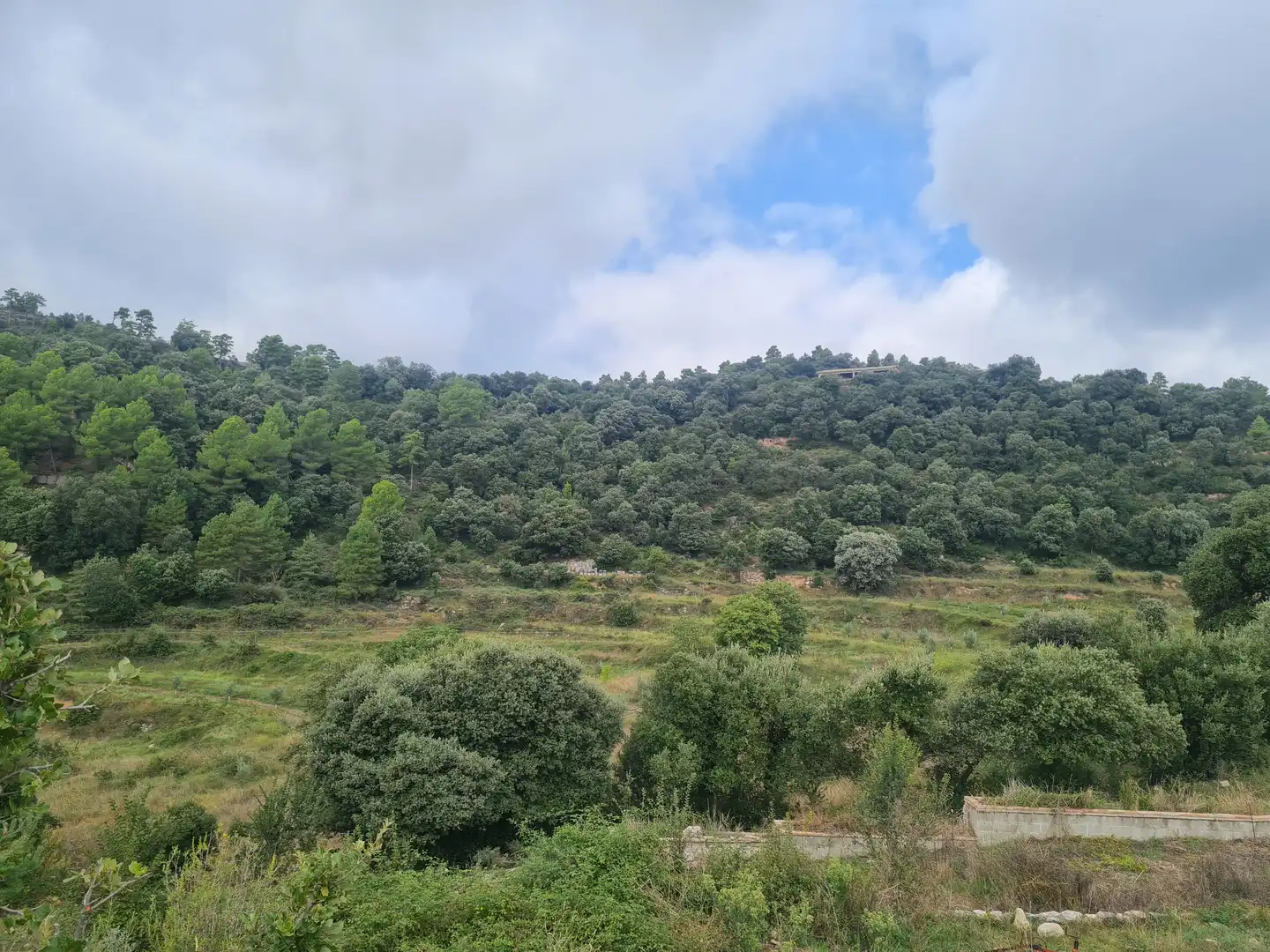 Country homes for sale in Olvan