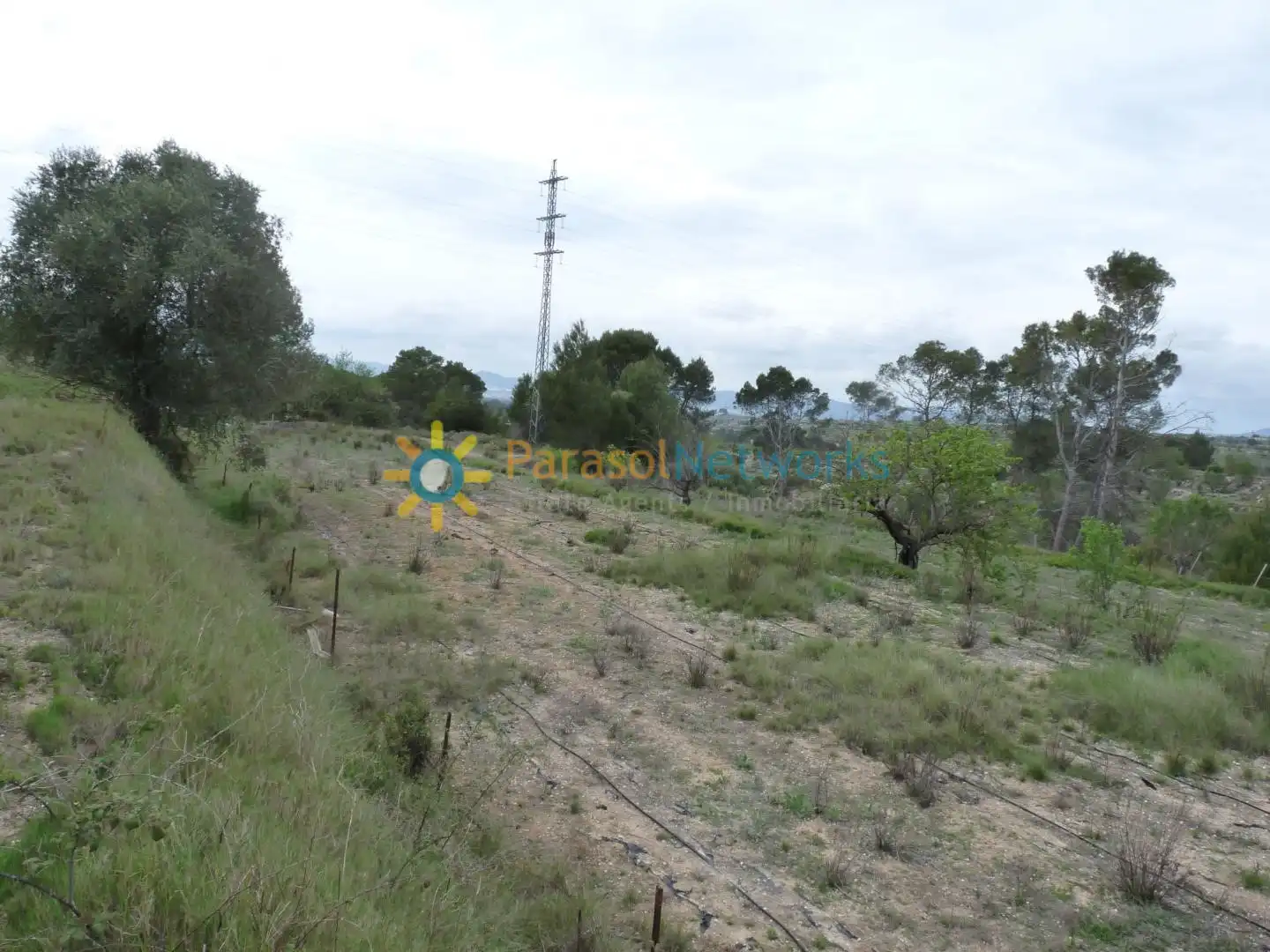 Terreny rústic en venda a Castelló de Rugat, imagen 13