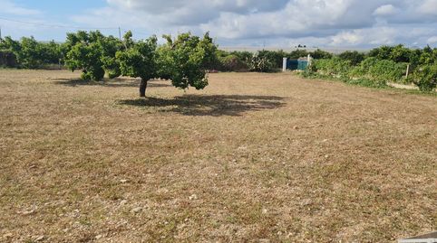 Finca exclusiva con villa, piscina y licencia turística entre Vinaròs y Alcanar, imatge 4