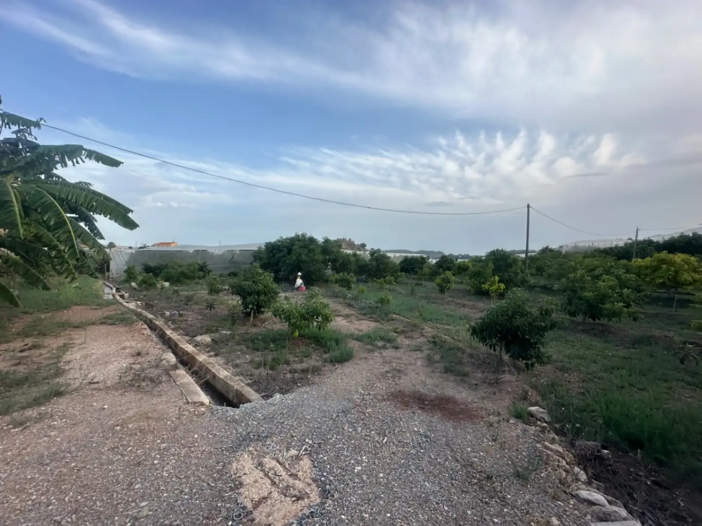 Finca rústica en venta en Callosa d'en Sarrià con Jardín privado, Terraza y Trastero