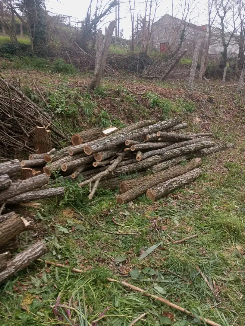 Vista exterior de Casa o xalet en venda en Pontevedra Capital  amb Jardí privat