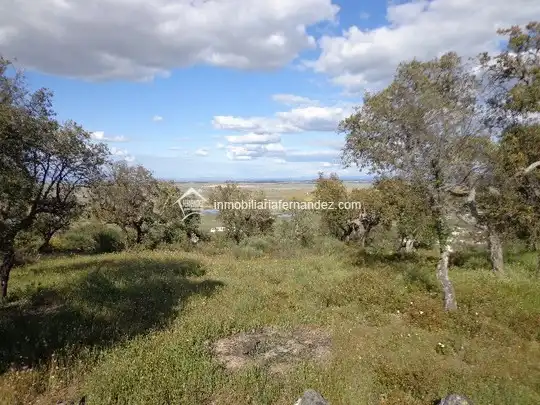 Terreni e lotti in vendita a Sierra de Fuentes