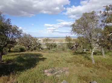 Terreno rústico en venta en Sierra de Fuentes
