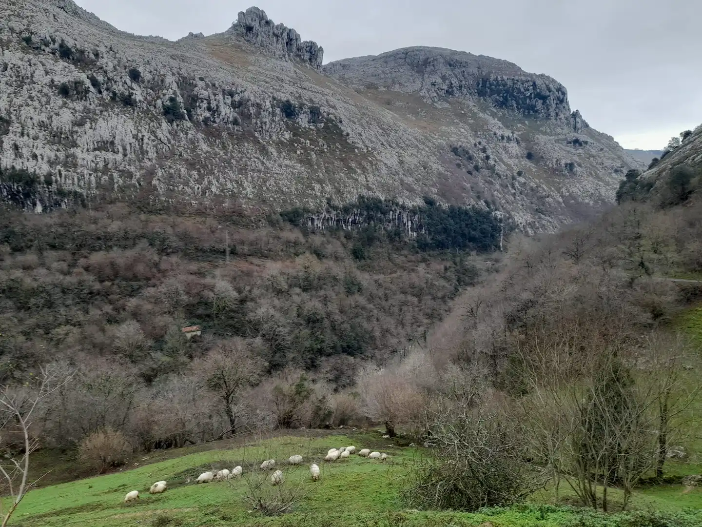 Finca rústica en venta en Barrio Rubalcaba, Liérganes
