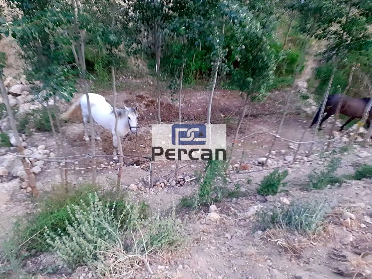 Residencial en venta en Cortes de Baza