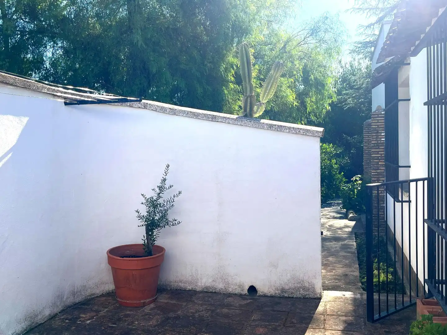 Casa amb jardí en venda a Santa Ana, imagen 20