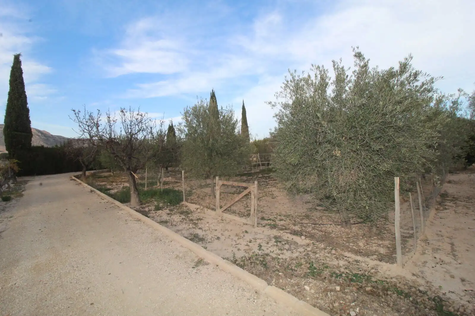Casa amb terrassa en venda a Campo Alto - Club de Campo, imagen 18