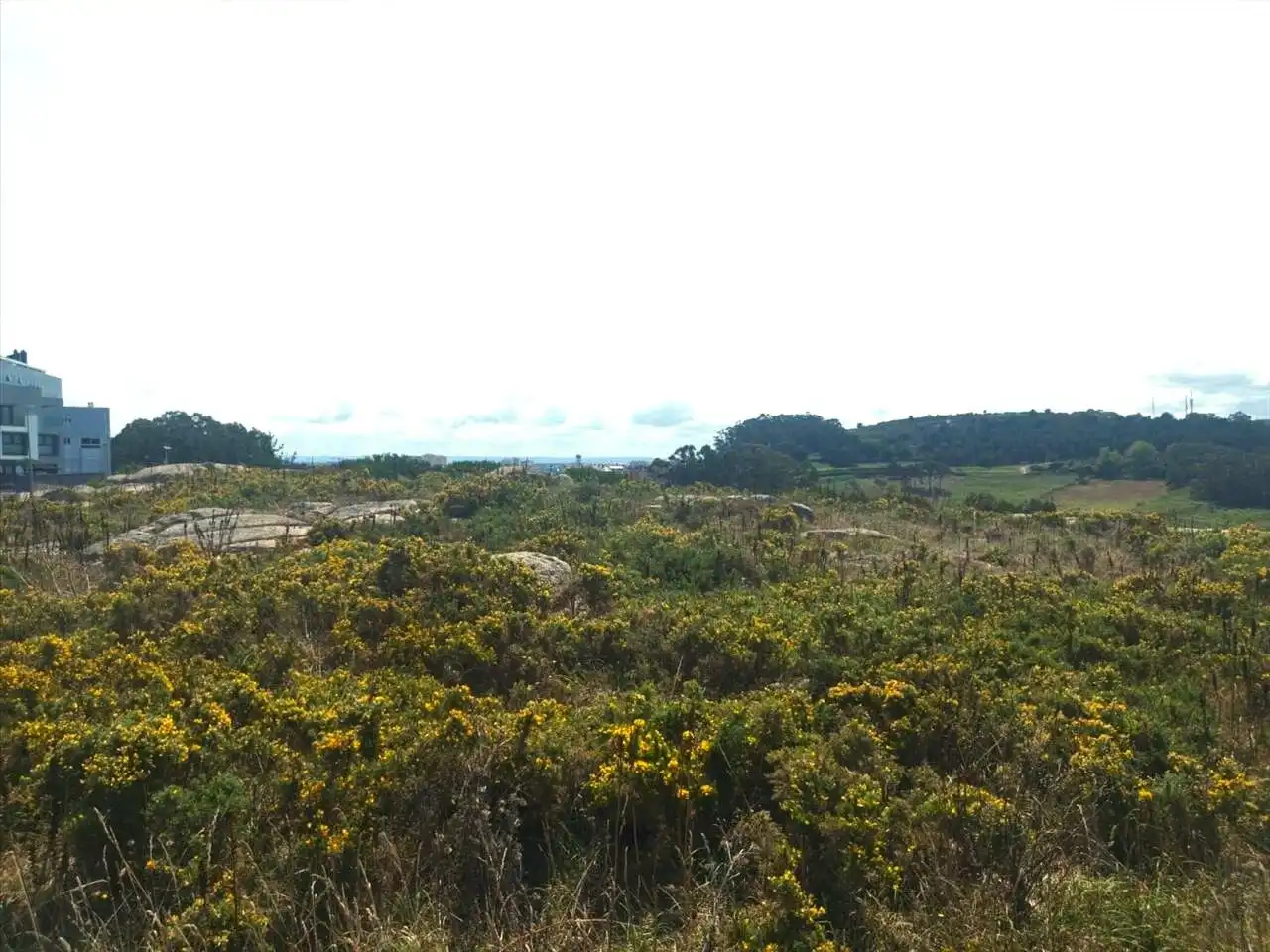 Grundstücke und Bauplätze zum Verkauf in MONTE BEBEDOIRO, imagen 2