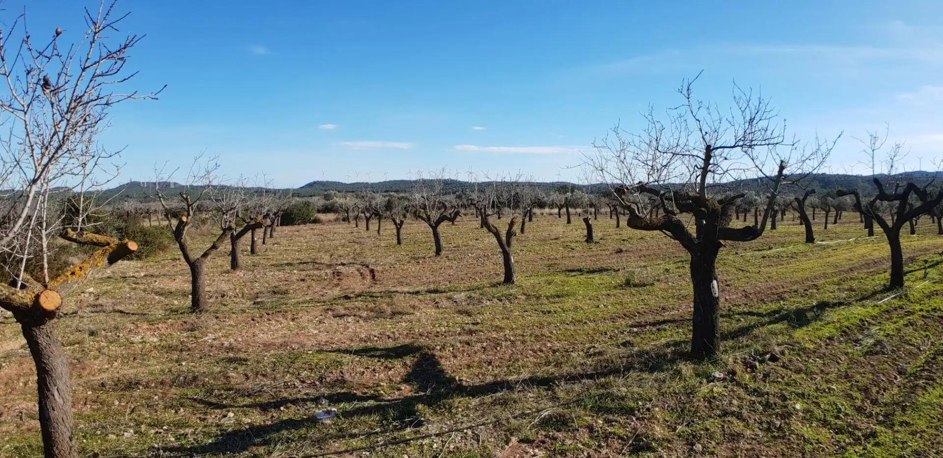 Finca rústica en venta en El Perelló con Jardín privado, Terraza y Trastero