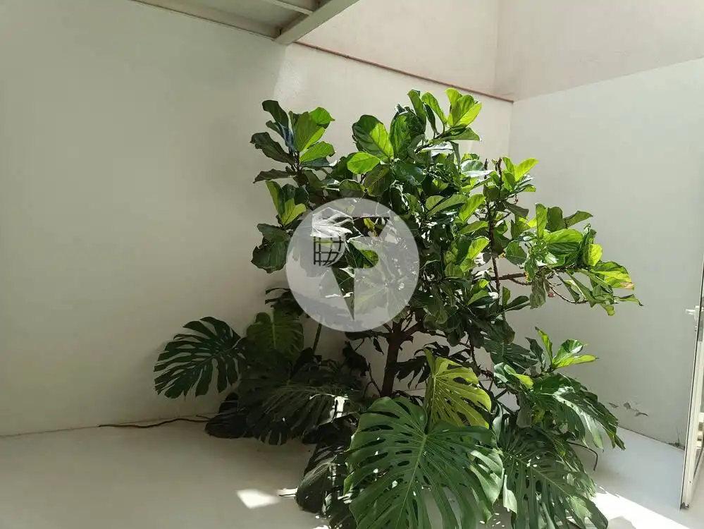 Garten von Geschaftsraum zur Miete in Sant Martí