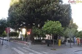Casa en venda a Casco Antiguo, imagen 4