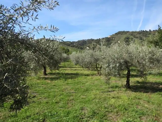 Garden of Land for sale in Cenes de la Vega