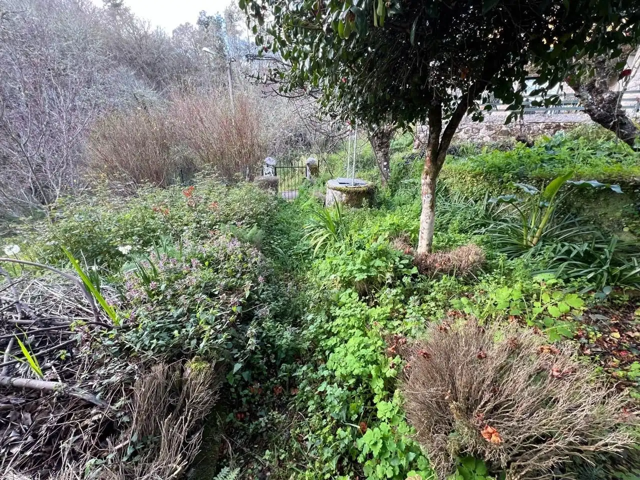 Jardí de Finca rústica en venda en Ourense Capital  amb Jardí privat, Terrassa i Moblat