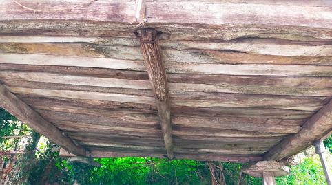HÓRREO CON PEQUEÑA HUERTA EN VENTA EN PRAVIA, ASTURIAS, imatge 5